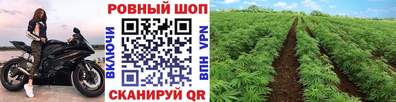 Как найти наркотики Славянск-на-Кубани МАРИХУАНА ГАШ
