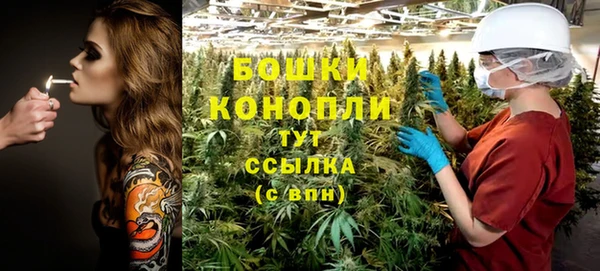 крисы Елизово