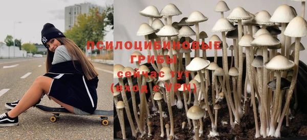 крисы Елизово