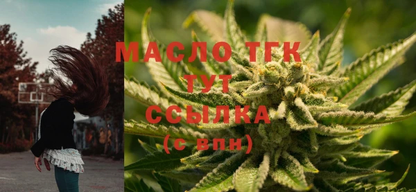 крисы Елизово