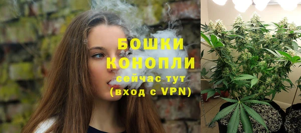крисы Елизово