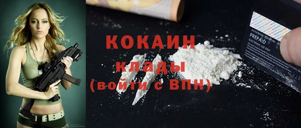 крисы Елизово