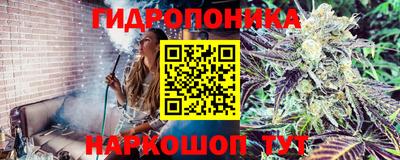 ALPHA PVP Абакан