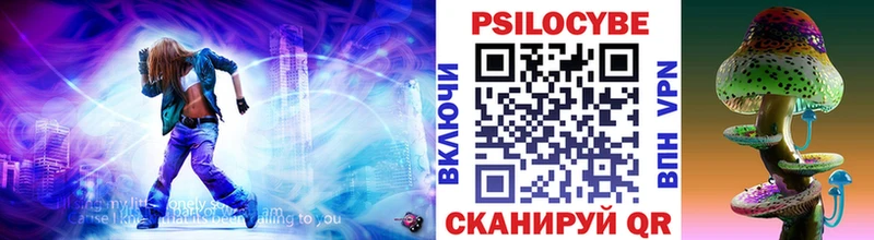 Псилоцибиновые грибы Psilocybe  Славянск-на-Кубани 