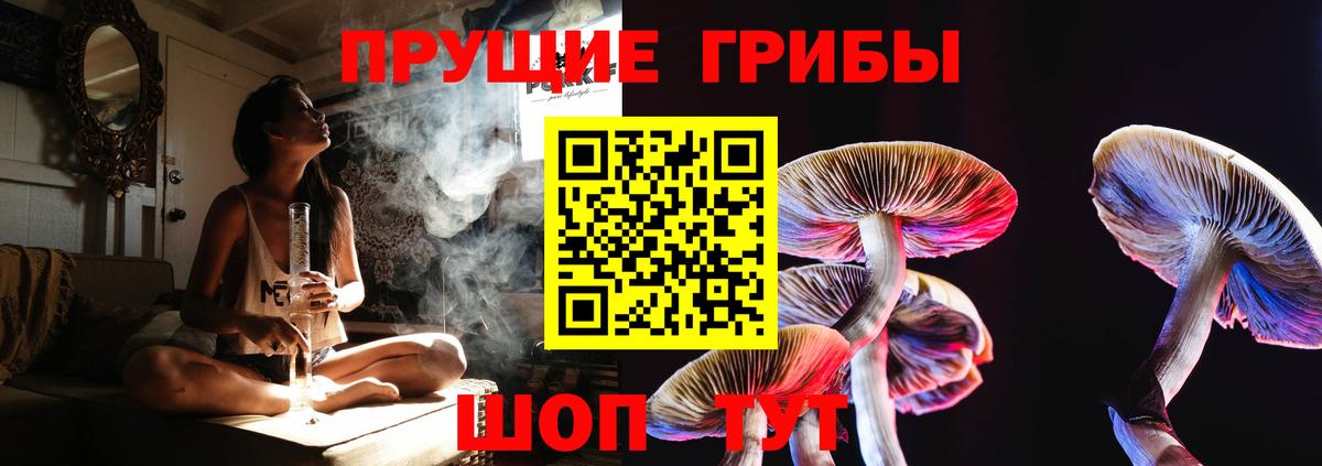 Славянск-на-Кубани  Псилоцибиновые грибы мухоморы  Вход с VPN 